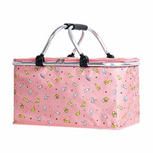 FMOPQ Folding Picnic Pouch Basket Camping Cooler Bag Insulated Bag Outdoor BBQ Travel Camping Fishing Storage Box Organizer Container (Color : F) (D)