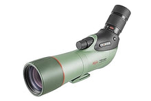 Kowa TSN-66A PROMINAR Pure Fluorite Angled Spotting Scope with TE-11WZ II 25-60x Eyepiece Green
