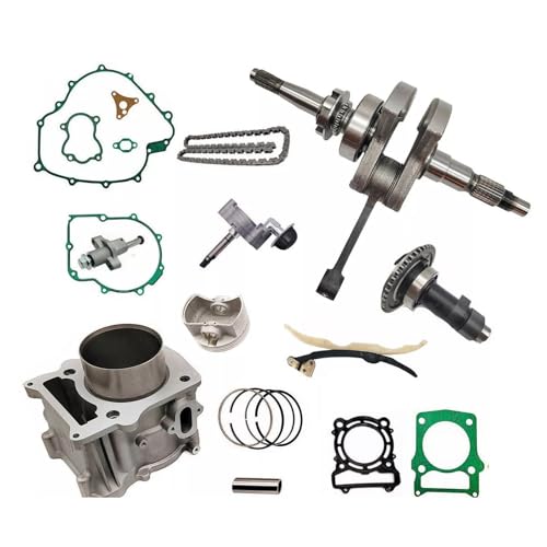 LFCBMD [Renewal Part] Complete for HISUN 550 Motor Engine for EFI for Bennche for Massimo [Replacement]