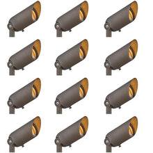 Hinkley Hardy Island 12V MR16 Landscape Spotlight Set of 12, Matte Bronze