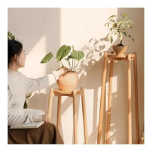 WOAITIANTIAN Vase Stand Wooden Plant Display Stand Tall Planter Floor Pot Indoor Holder Flower Bonsai Decoration(Large)
