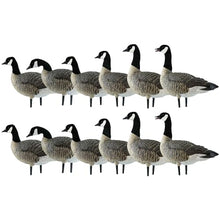 Avian-X AXP Honkers Fusion Pack Lesser Canada Goose Decoys 2 Pack