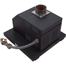 Raypak 009833 Venter KIT Assy
