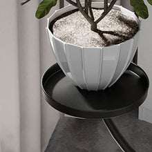 Plant Stand Indoor Three-Layer Plant Stand Iron Flower Pot Holder Shelves Planter Rack Storage Organizer Display for Indoor Garden Balcony (Color : D) (C)