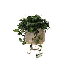 Flower Stand/Flower Shelf Nordic Hollow Flower Pot Rack Wrought Iron Green Dill Plant Rack Living Room Balcony Decoration Simple Atmosphere Metal Shelf Plant Stand (Silver)