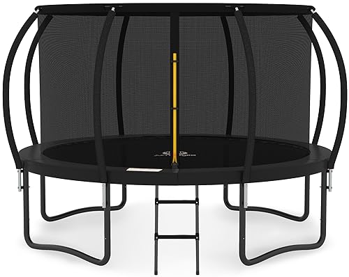 JUMPZYLLA Outdoor Trampoline with Enclosure and Ladder Black & Black