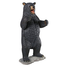 Design Toscano Growling Black Bear Life Size Statue Full Color