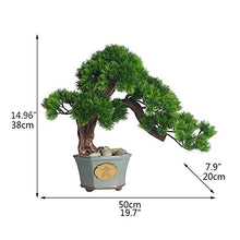 Podocarpus Bonsai Plant Fake Plant Decoration Used for Home Living Room Entrance Office Hotel Decoration House Plant (Color : Green)