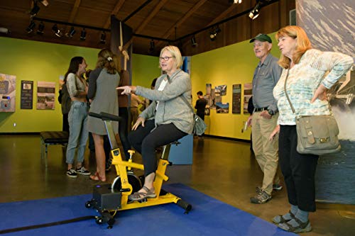 Pedal Power Generator Stationary Exercise Bike System - Child and Adult