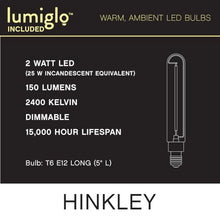Hinkley Lakehouse Large Outdoor Wall Mount Lantern w/Lumiglo, Aged Zinc