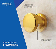 Steamspa 6kw Steam Sauna Generator Sentry Series 240v Steam Generator