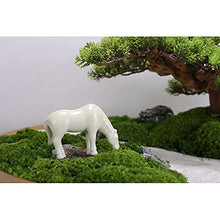 YXIANG56Q Fake Plants Artificial Welcoming Song Yongsheng Moss Landscape Zen Bonsai Simulation Potted Ornaments for Desktop Office Home Decoration Bonsai Tree