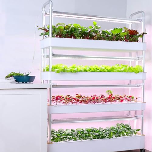 FLTRGO Indoor Garden Hydroponic Growing System,3/4 Tier Hydroponics Tower Set,Hydroponic Planter,Plant Vertical Hydroponics,Suitable for Planting Leafy Vegetables,Stem Vegetables