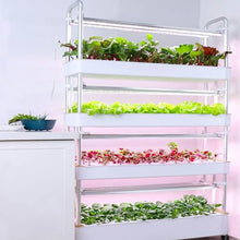 FLTRGO Indoor Garden Hydroponic Growing System,3/4 Tier Hydroponics Tower Set,Hydroponic Planter,Plant Vertical Hydroponics,Suitable for Planting Leafy Vegetables,Stem Vegetables