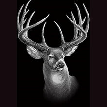 Cemetery bevel marker - sometimes called a pillow or hickey marker - monument grade granite - includes engraving-