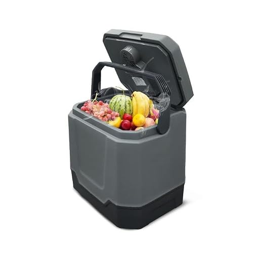AWMGPDDBTO Mini Fridge 33L Portable Car Refrigerator
