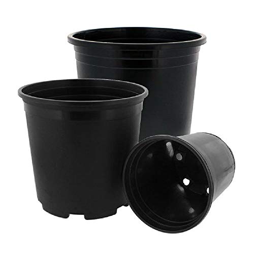 Thaisan7, Commercial 4 Gallon Nursery Black Plastic Pots Tomato Flower Herb Plant Container, Hobby Luxury Natural Happy Life Style Home Garden Improve - 10" Diameter(ID) x 11"(OD) x 12"H (30)