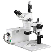 AmScope Professional Trinocular Stereo Zoom Microscope White