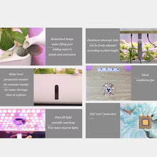 Gerrit Indoor Gardening System,Aeroponics Growing Kit,Indoor Garden Hydroponic Growing System,hydroponic Indoor Garden,with Hydrating Pump, Adapter, Net Pots, Timer.