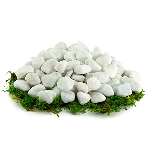 Southwest Boulder & Stone Porcelain White Pebbles | 1000 lbs | Natural Rocks, White Stones for Potted Plants, Gardening, Succulents, Aquariums, Terrariums, and More (1/4 Inch)
