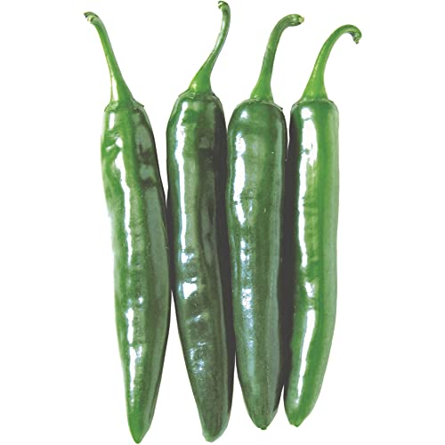 Kitazawa Seed Co Pepper Seeds Hot Korean Gochu Vita Green Hybrid 4 Oz