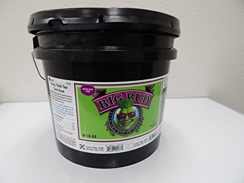 Advanced Nutrients Big Bud Powder 10kg Brown