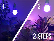 Miracle LED Plant Life Cycle 3-Socket Synchronized Grow Light Kit with 3 Blue Spectrum Absolute Daylight Bulbs and 3 Red & Blue Spectrum Multi-Plant Bulbs with Sproutmatic Timer Controls (3-Pack)