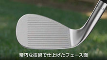 Kirkland Signature Golf Wedge Set Silver