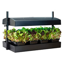 SunBlaster LED Indoor Growlight Garden, Home Growing Kit