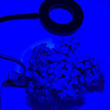 Plant Growth lamp Three-led led Plant lamp USB gooseneck lamp Indoor Bonsai Succulent Flower 5V Clip Fill Light LED Grow Light Full Spectrum Flexible Timing Dimmable Clip Phyto