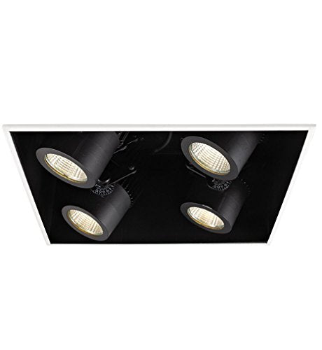 WAC Lighting MT4LD221NE-F40-BK Precision Multiples LED New Construction IC Rated Housing, 4000K Flood Beam, 2 x 2 Lights, Black