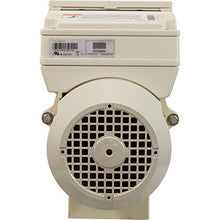 Pentair 011028 IntelliFlo VS Pool Pump Almond
