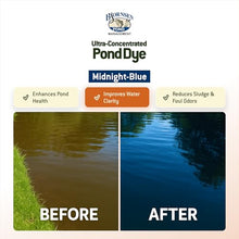 Bjornsen Ultra-Concentrated Midnight Blue Pond Dye, 1 Qt Liquid (12-Pack)
