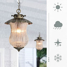 SteFik Outdoor Pendant Light Fixture, 1-Light Exterior Hanging Lantern Outside Chandelier Porch Lighting in Bronze Finish with Clear Ribbed Glass for Patio, Entryway Interesting Life,Pendant