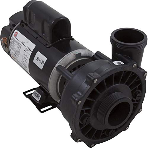 Waterway 3420610-1A Spa Pump Side Discharge