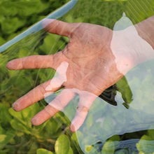 Transparent Tarpaulin Plant Flower Cover Waterproof PVC Plastic Tarp with Eyelets, Plant Sheet Covers Rainproof, 0. 35mm Thick, 400g/m² (Color : 0.35mm, Size : 2x4m/6.56x13.12ft)