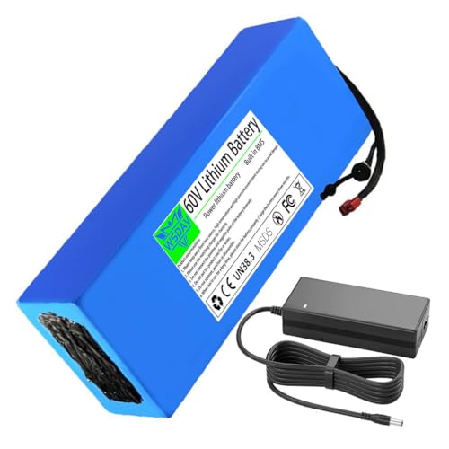 WSDAV Lithium Battery 60V Rechargeable Battery 60V 15Ah 20Ah 25Ah 30Ah 35Ah 40Ah 45Ah 50Ah Batteries with Charger,60v25ah