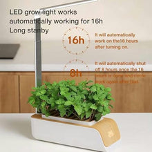 BTURYT Complete Hydroponic Culture System, Light Lamp for Plants, Retractable Light Post, Automatic Filling Light, Interior Herbal Kit, Suitable for Home, Kitchen