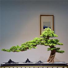 YXIANG56Q Fake Plants Artificial Greenery Bonsai Simulation Welcome Pine Home Hotel Micro Landscape Bonsai Tree