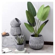 WOAITIANTIAN Flower Pots Plant Pots Stone Pattern Cement Simple Round Flower Living Room Decoration Planters(X-Large)