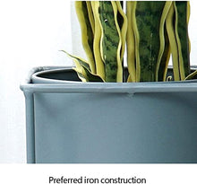 Flower Stand Flower Stand Wrought Iron Plant Rack Using Manual Welding Technology Stable and Durable Floor-Standing Flower Stand Very Suitable for Decorating Homes Offices Etc.