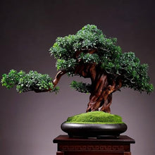 YXIANG56Q Fake Plants Living Room Simulation Plant Bonsai Indoor Greenery Potted Plants Large Fake Tree Desktop Landscape Decoration Ornaments Bonsai Tree