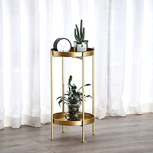 TBNLASS 2 Tier Metal Outdoor & Indoor Potted Flower Stand Display Shelf Home Garden