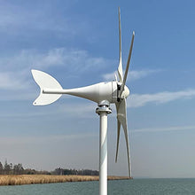 NINILADY New Arrivel Low Noise 600W 12V 24V 48V Wind Turbine 5 Blades with MPPT Controller Wind Generator for Home Free Energy (24v with Controller)