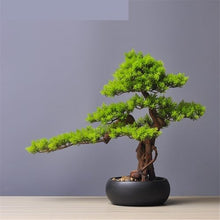 HCZKIUJ Bonsai Simulation Welcome Pine with Black Round Pot Arrangement Home Living Room Potted Plants Desktop Plant