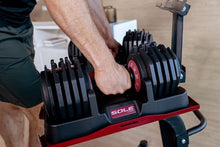 SOLE Fitness SW180 Adjustable Dumbbells Black/Red