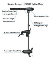 AQUOS Heavy-Duty 10.2ft Inflatable Pontoon Boat with Stainless Steel Guard and Folding Seat, Transom Hand Control 12V 65LBS Trolling Motor