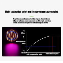 LED Grow Light, Grow Lights for Indoor Plants Witrh Switch, Ideal for Greenhouse Plants Flowers Veg Succulents Potted Growth (Size : 1 Head 290 lamp Beads) ()