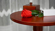 Blue-Ther Round Floating Table Magic Tricks Set
