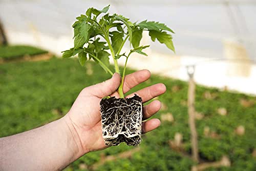 SOIL MOIST SAP SUPER ABSORBENT POLYMER Water Storing Crystal for Plants White (45 Pounds)
